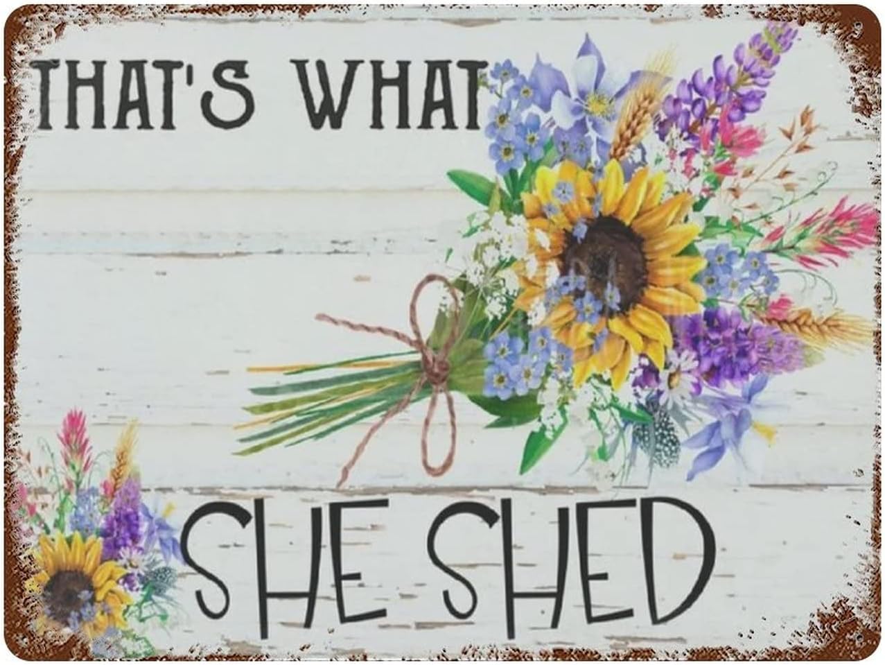 XianJinDu That's What She Shed - Home Office Shed review and price