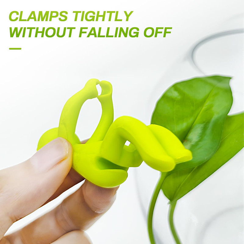 Hydroponic Plant Fixing Figuri - Home Or Office Use review and price