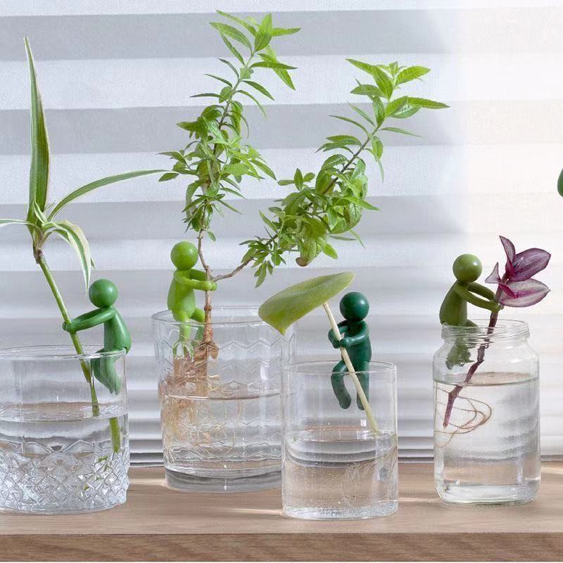Hydroponic Plant Fixing Figuri - Home Or Office Use review and price
