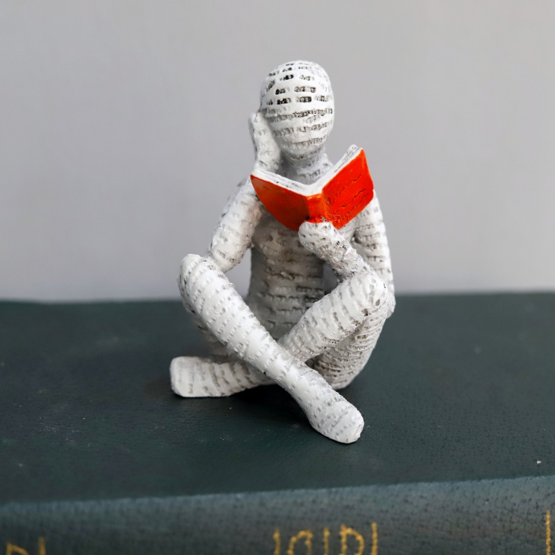 1Pc, Reading Paper Pulp Woman  - Home Office Bookshelves review and price